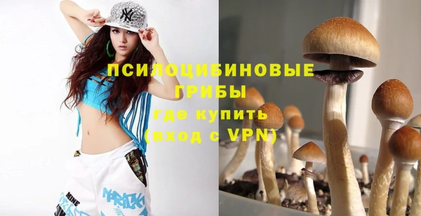ешки Верхний Тагил