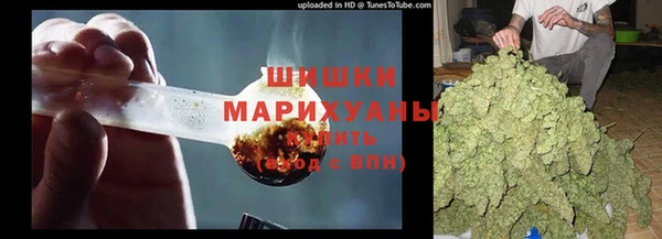 ешки Верхний Тагил