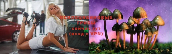 гидропоника Верхнеуральск