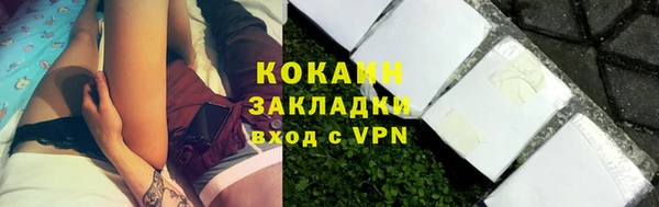 прущие грибы Бугульма