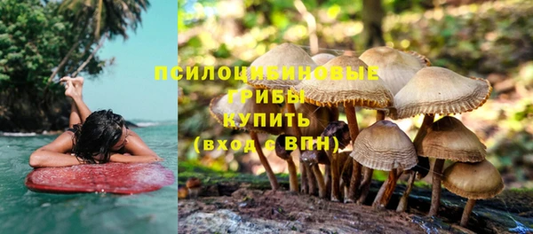 гидропоника Верхнеуральск