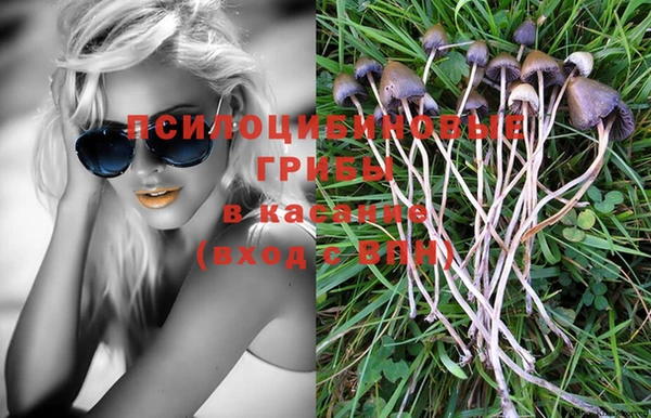 эйфоретик Верея